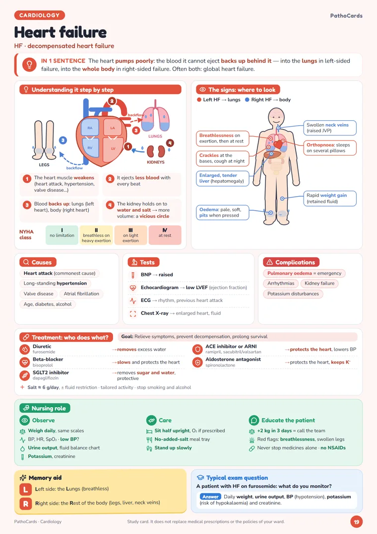Heart failure card from PathoCards